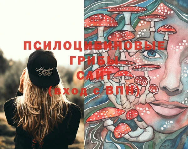 синтетический гашиш Алексин
