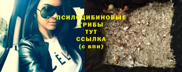 бутират Алексеевка